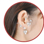 Indian Beauty Secrets-